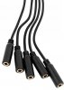 Shelly Splitter 1 to 5 - 3.5mm jack